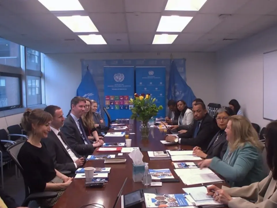 UNIDO Hosts CSW69 Event on Women’s Leadership in Green Economy
