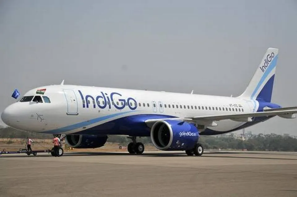 Indigo