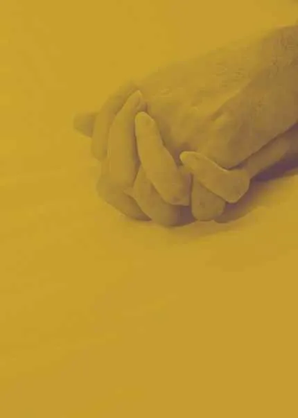 publive-image