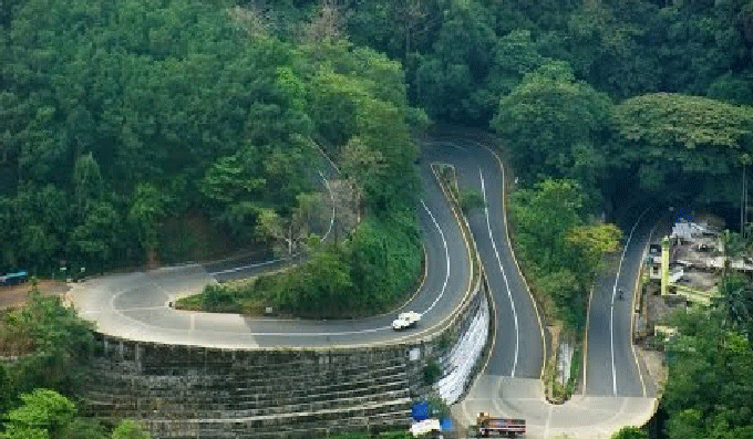 താമരശ്ശേരി ചുരത്തില്‍ മരം വീണ് ഗതാഗതം തടസ്സം