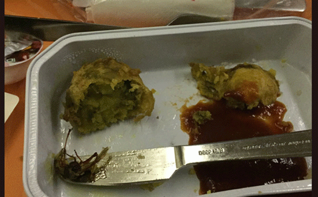 Cockroach found in meal served on Air India flight, probe on