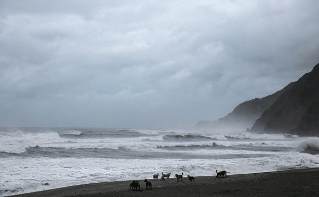 Cyclonic storm expected to hit Tamil Nadu coast on December 2, says IMD