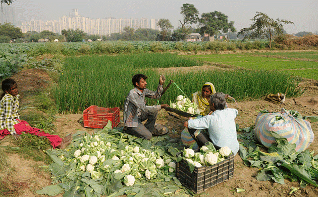 Demonetisation: RBI gives additional 60 days to repay crop loans to farmers; prompt repayment to get extra 3 per cent interest subsidy